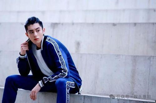 王鹤棣私下人品爆料视频,真实一面引网友热议