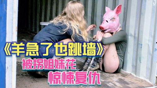 羊急了也跳墙在线观看